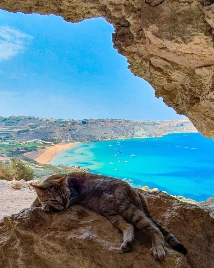 Farmhouse Tal Kaptan Kerċem Zewnętrze zdjęcie